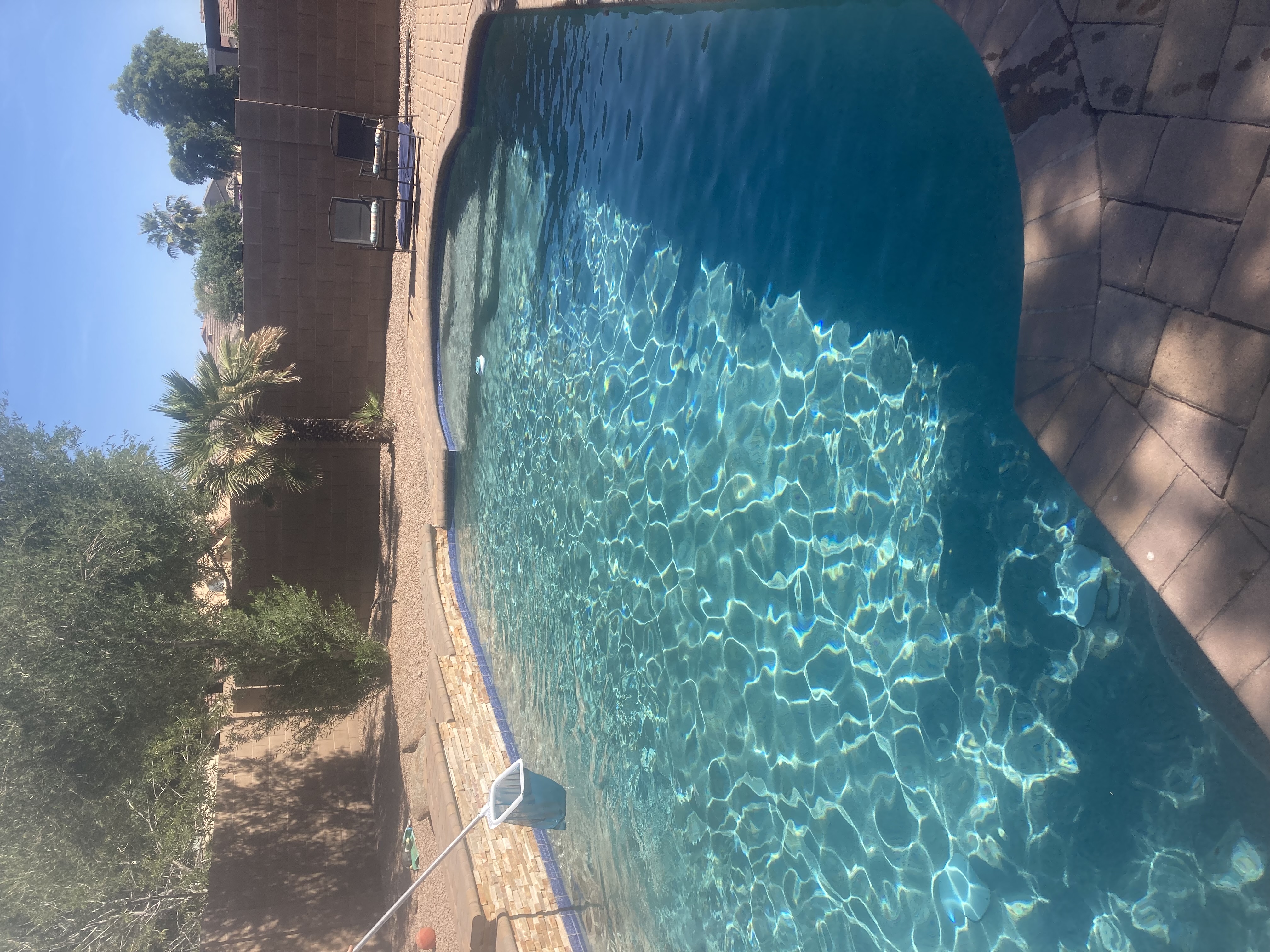 Pool cleaning service